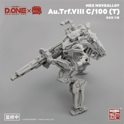 Au.Trf.VI1I C/100 （T） 方盾
