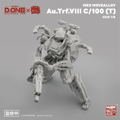 Au.Trf.VI1I C/100 （T） 方盾